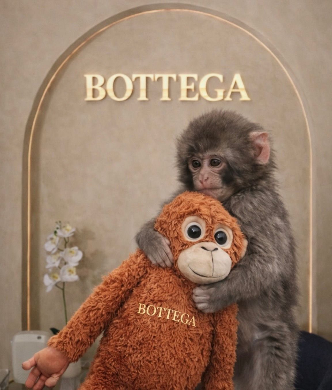 Trabajo Bottega Beauty Bar